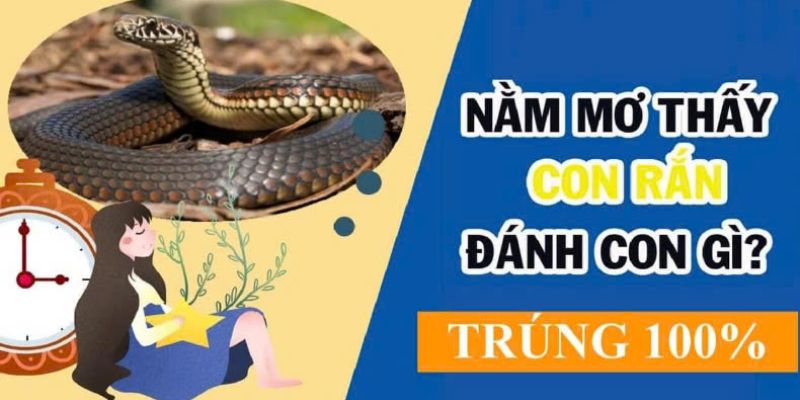 Nằm mơ thấy rắn đánh con gì?