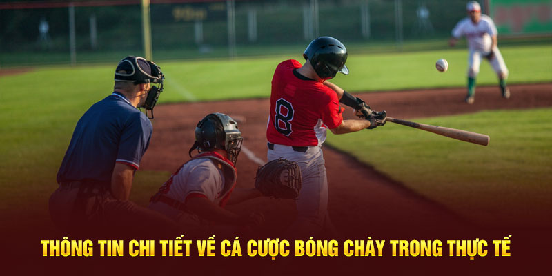 Luật đặt cược trong môn bóng chày