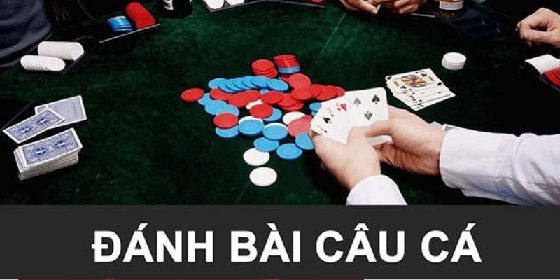 Giới thiệu về trò chơi đánh bài câu cá