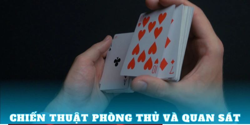 Chia sẻ những mẹo chơi bài Tấn hiệu quả từ các chuyên gia