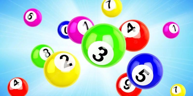 Hướng dẫn chi tiết cách nuôi song thủ lô khung 2 ngày chuẩn xác